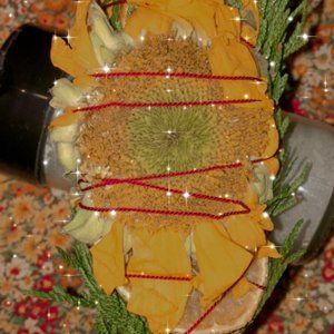 Rustic Yule wand red cedar, large sunflower, dried lemon slices handmade smudge